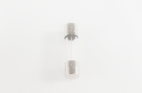 GE WG02F00570 Fuse