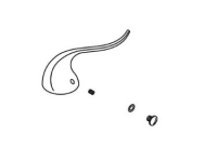 Kohler 1001795-7 Handle Kit