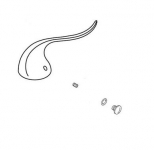 Kohler 1001795-BN Handle Kit