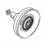 Kohler 1022128-BN Showerhead Assembly