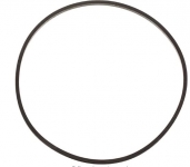 Pentair (Sta-Rite) 17140-0026 Gasket