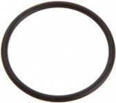 Pentair (Sta-Rite) 47-0442-01 Filter Reservoir O-Ring