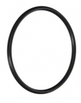 Pentair (Sta-Rite) R172009 O-Ring