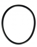 Pentair (Sta-Rite) U9-161 O-ring