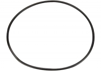 Pentair (Sta-Rite) U9-228A O-Ring
