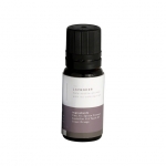 Mr. Steam 103811 Aromasteam Lavender Essential Oil 10Ml