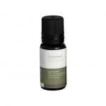 Mr. Steam 103812 Aromasteam Evergreen Essential Oil 10Ml