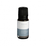 Mr. Steam 103813 Aromasteam Energizing Mint Essential Oil 10Ml