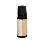 Mr. Steam 104007 Invigorating Orange Chakra Oil 10Ml