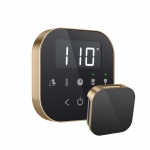 Mr. Steam Airtbk-Bb Airtempo Steam Shower Control In Black With Brushed Bronze Bezel