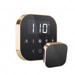 Mr. Steam Airtbk-Pb Airtempo Steam Shower Control In Black With Polished Brass