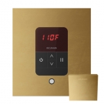 Mr. Steam Msitemposq-Raw Itempo Square Steam Shower Control In Square Custom Plating