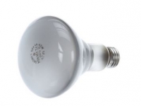 American Range A20016 Bulb Flood 65 Watt Acb